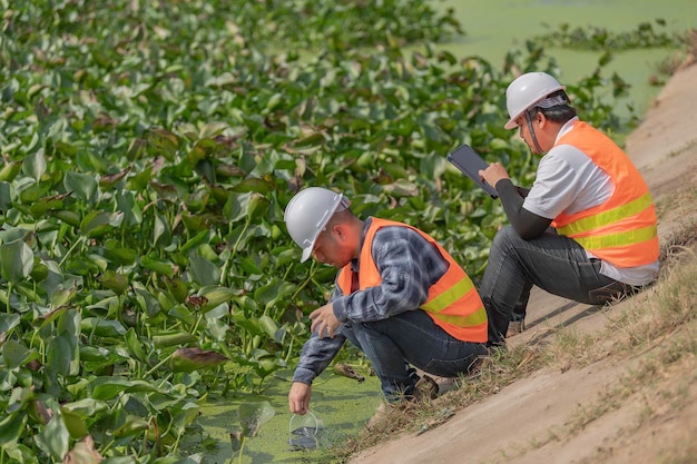 Ingénieurs environnementaux inspectent la qualité de l'eau Apportez l'eau au laboratoire pour les tests Vérifiez la teneur en minéraux de l' eau et du sol Consulter pour résoudre le problème des sources d'eau contaminées par des produits chimiques