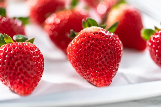 Ingrédient pour faire des fraises enrobées de chocolat avec des fraises biologiques