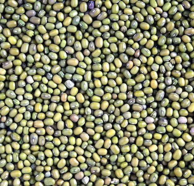 Photo ingrédients alimentaires récolte de nombreux grains de lentilles vertes sèches sur une surface plate en arrière-plan vue supérieure proche