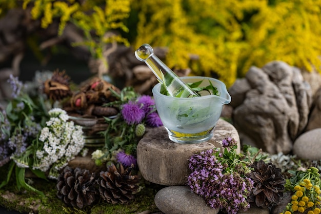 Photo ingrédients cosmétiques composition florale d'herbes médicinales pierres mousse fleurs sauvages ingrédients cosmétiques