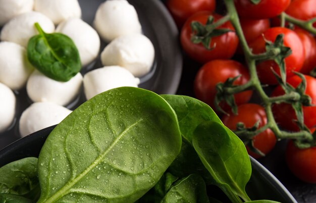 Ingrédients pour la salade Caprese avec mozzarella, tomates cerises et pousses d'épinards.