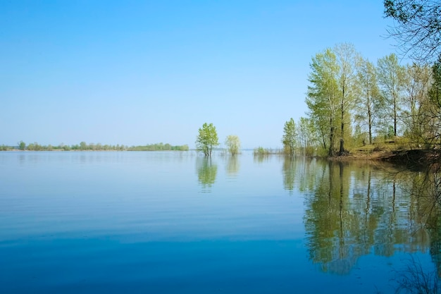 Inondations printanières sur les arbres gorgés d'eau de la rivière