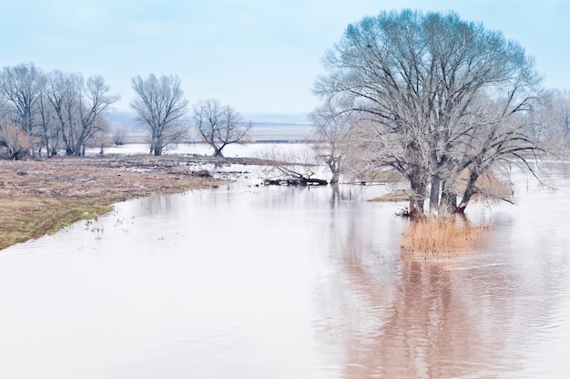 Inondations printanières. Rivière des steppes