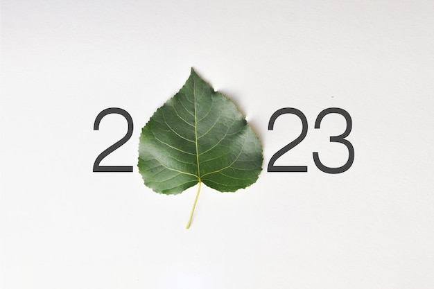 Inscription 2023 avec l'image d'une feuille de plante Un symbole de protection de l'environnement dans la nouvelle année