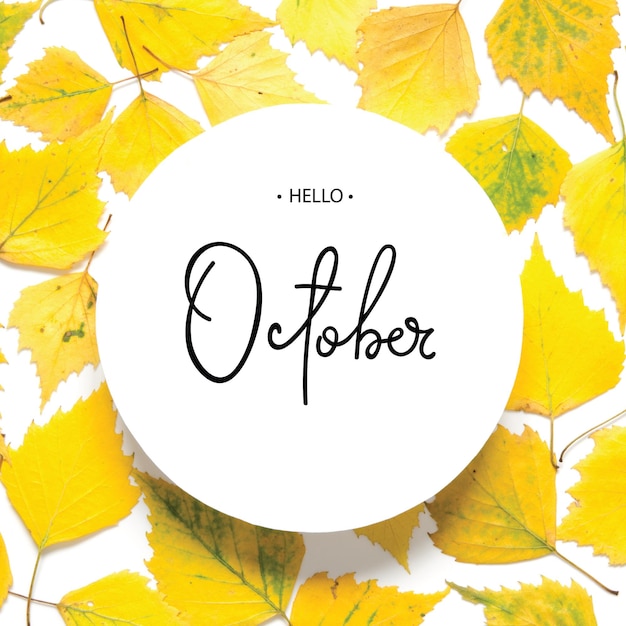 Inscription Bonjour Octobre Modèle de feuilles d'automne jaunes isolé sur blanc Image