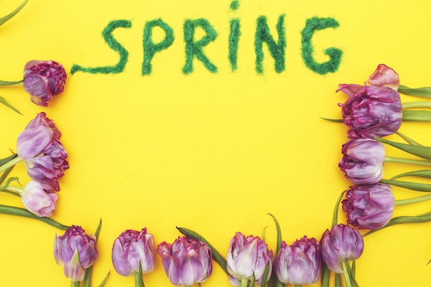 L'inscription Printemps d'une herbe verte décorative sur fond jaune avec un arrosoir et des tulipes de fleurs