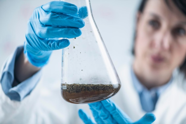 Inspecteur des sciences de l'alimentation biologique examinant une fiole de laboratoire avec un échantillon de plante dissous dans l'eau