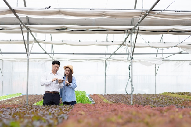 Des inspecteurs inspectent et enregistrent la qualité des légumes biologiques avec des agricultrices fournissant des conseils.