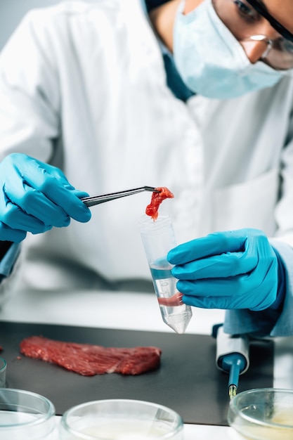 Inspection en laboratoire de la salubrité des aliments de la viande rouge crue