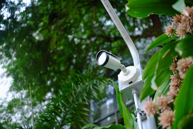 Photo l'installation de la sécurité de la caméra dans le parc