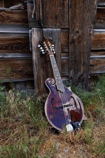 Instrument de musique debout sur l'herbe