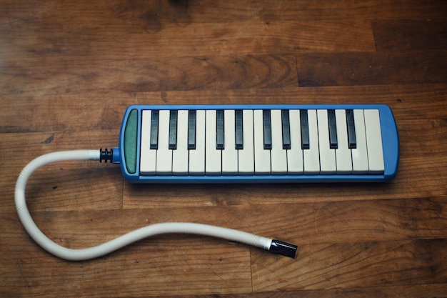 Instrument à vent à clavier la melodica