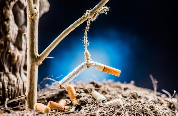 Interdiction de fumer et Journée mondiale sans tabac