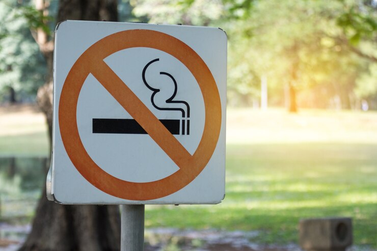 Photo interdiction de fumer en métal dans le parc.