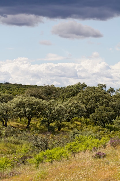 Intérieur de l&#39;Algarve