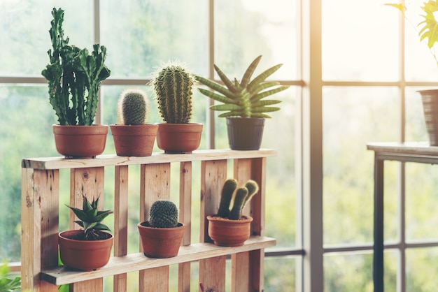 Intérieur de la chambre scandinave avec des plantes