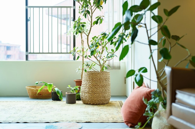 Intérieur avec du vert sur le rebord de la fenêtre