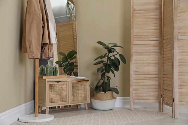 Intérieur élégant du couloir avec porte-manteau en bois et grand miroir