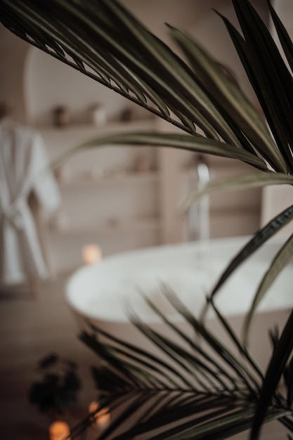Photo l'intérieur luxueux d'une grande salle de bain de style africain moderne avec une baignoire ovale dans un éclairage naturel