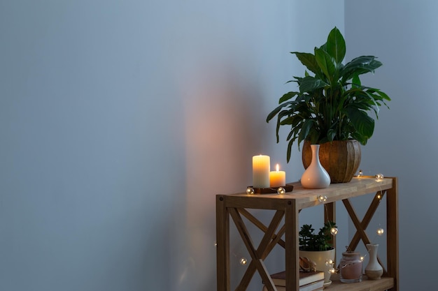 Intérieur de maison blanc avec des plantes d'intérieur sur une étagère en bois