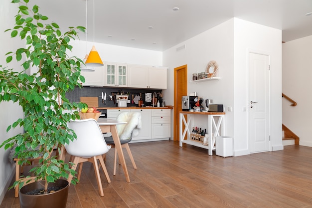 Intérieur moderne de cuisine, mur blanc, chaises en bois, fleur verte en pot. Concept design scandinave