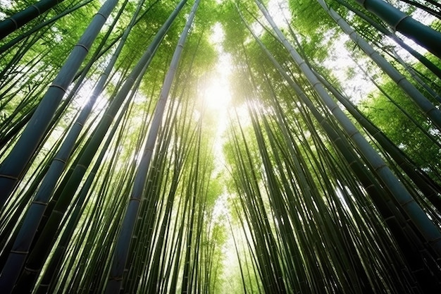 à l'intérieur de la photographie professionnelle de la forêt de bambous générée par l'IA