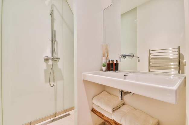 L'intérieur d'une salle de bain avec un grand lavabo et une douche dans une maison moderne