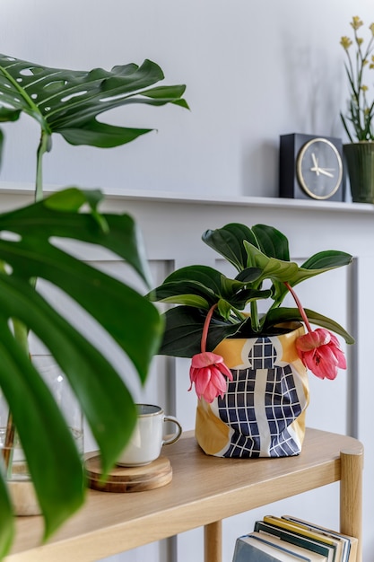 Intérieur de salon minimaliste avec console en bois, belles plantes en pot hipster, feuille, livre, horloge, étagère, décoration, mur gris et accessoires personnels dans une décoration élégante.