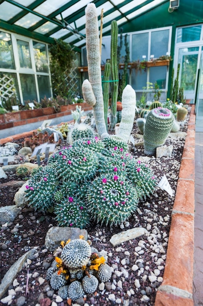 Intérieur D'une Serre De Cactus ; Détail Du Banc De Plantation