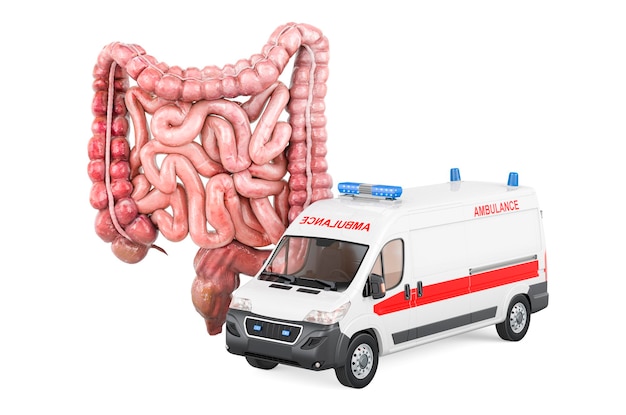 Intestins humains avec ambulance van rendu 3D