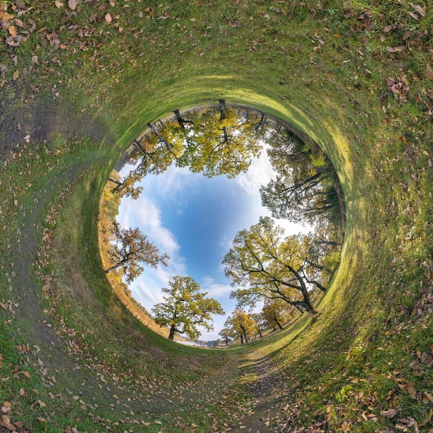 Photo inversion d'une petite planète transformation d'un panorama sphérique à 360 degrés vue aérienne abstraite sphérique dans une chênaie avec des branches maladroites en automne doré courbure de l'espace