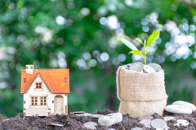 Investissement dans le logement La croissance des plantes est comparable à la croissance financière une pile de pièces de monnaie placéesun sac marron rempli de pièces de monnaie un arbre en croissance Modèle de maison