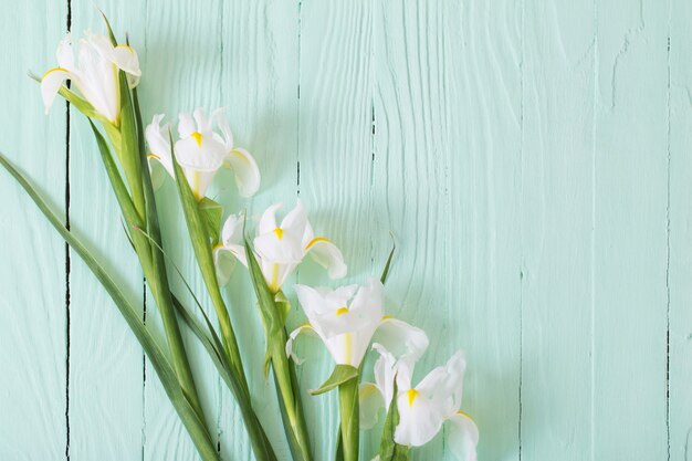 Iris blanc sur une surface en bois verte