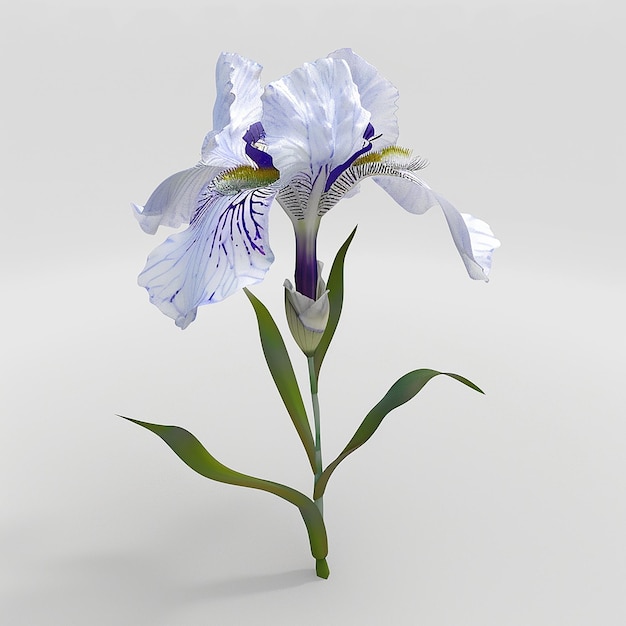 un iris bleu et blanc avec une fleur violette au milieu