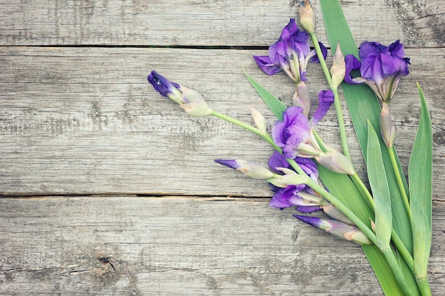 Iris sur fond de bois Bouquet