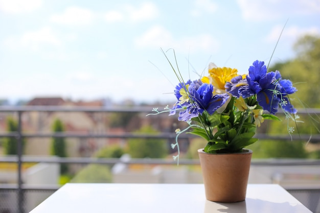 Iris violets dans un pot sur un tableau blanc près de la fenêtre