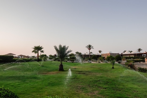 irrigation dans un jardin vert avec des palmiers d'une station balnéaire