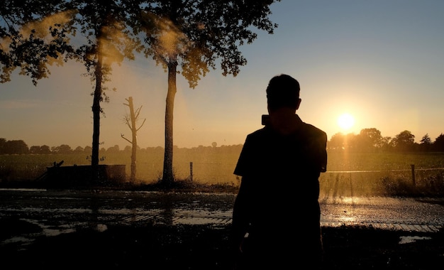 Irrigation ferme champs coucher de soleil montgolfière eau arbres pays-bas