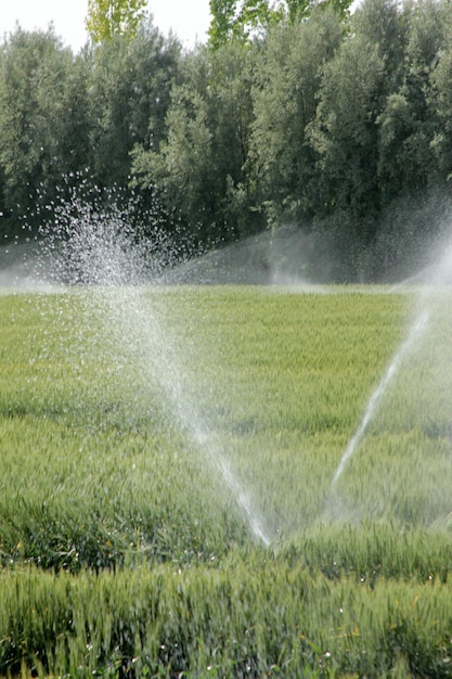 irrigation des terres agricoles