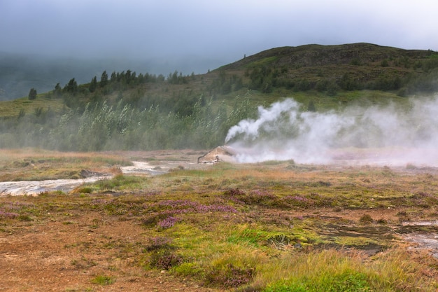 Islande Smidur Geyser par temps couvert