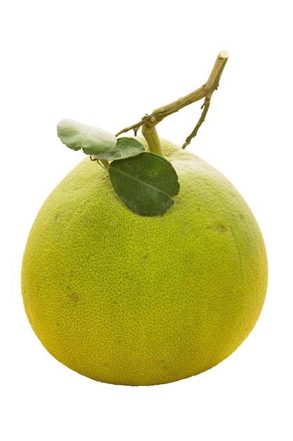 isolat de fruit de pomelo sur fond blanc.