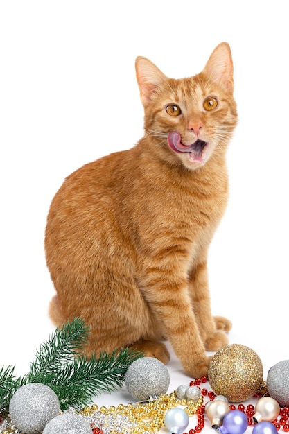 Isoler le chaton orange mignon parmi les boules colorées lumineuses de décorations de Noël sur un fond blanc