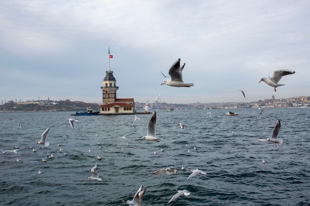 Istanbul - Tour de la Vierge - Turquie, Paysage de la Tour de la Vierge (Kiz Kulesi)