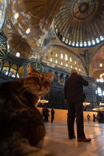 ISTANBUL, TURQUIE - 17 MARS 2013 : Intérieurs de la cathédrale Sainte-Sophie à Istanbul.