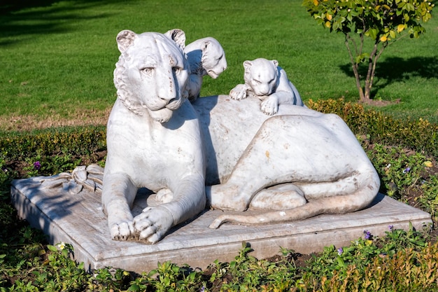 Istanbul turquie janvier statue de lionne dans le jardin du palais de dolmabahce