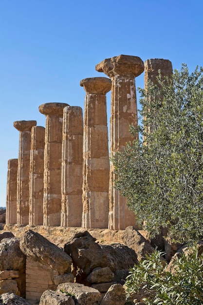 Italie Sicile Agrigente Vallée des temples grecs Colonnes du Temple d'Hercule