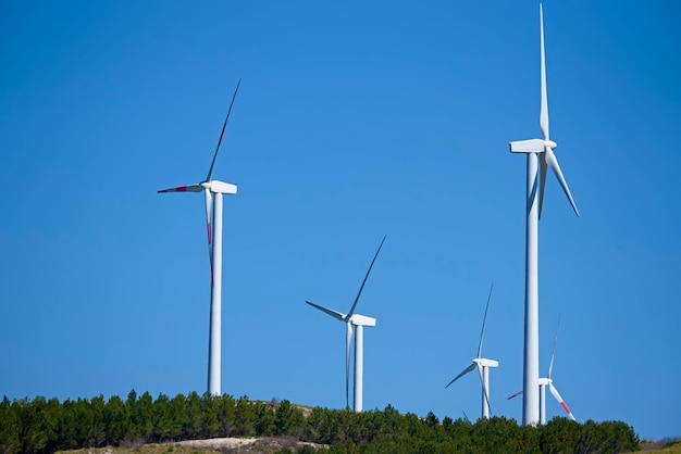 ITALIE, Sicile, province de Catane, campagne, turbines à énergie éolienne