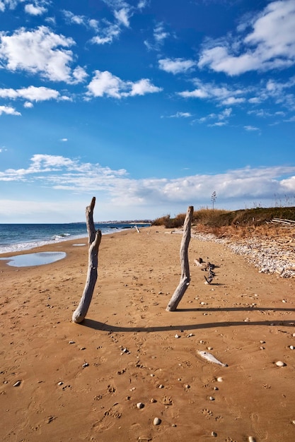 Photo italie, sicile, province de raguse, côte sud-est, mer méditerranée, fûts et cannes transportés sur la plage par les vagues de la mer