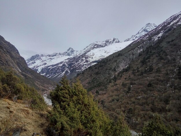 Itinéraire de randonnée en montagne