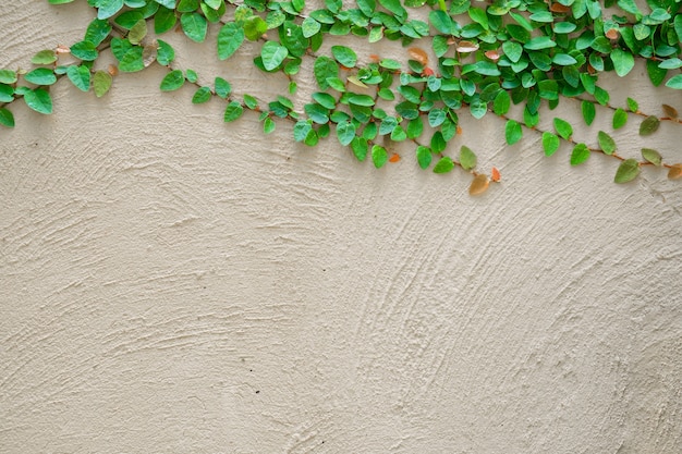 Ivy quitte l&#39;île sur un fond de mur de briques.